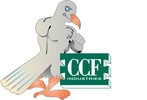 CCF Industries logo